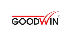 Goodwin-partner